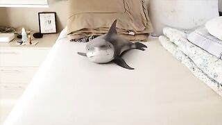 Cute Baby Shark