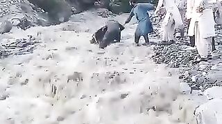 If you go for a walk, avoid such adventures.