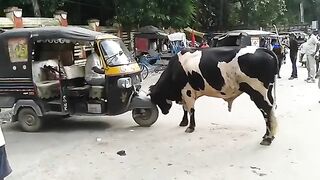 Funny Auto Rickshaw