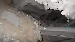 Heroic Rescue: Gaza Team Saves Dog Trapped Under Rubble