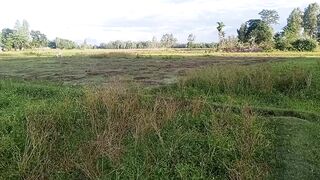 my village Vlog