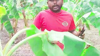 Nice video 426