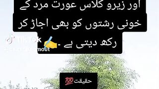 Samjhdar urat