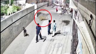 Lion attack in Johar Town Lahore