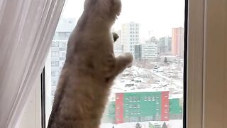 La rencontre 2