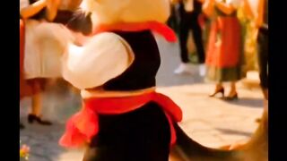 Cat dance 12