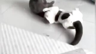 watching full video 52