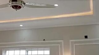 Home Decore , Fanoos, Rob Lights, Led lights Fancy Fan, Coated with golden lights