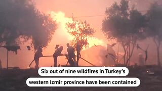 Turkey wildfires now largely under control as firefighters contain blazes