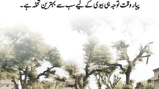 Biwi Ka Tohfa