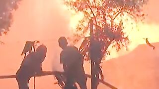 Deadly Turkey Wildfires Claim Lives and Force Evacuations