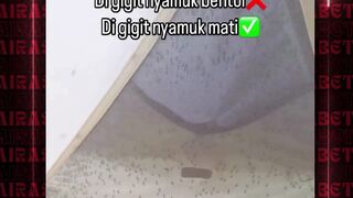 Untung bukn di indonesia  airasiabet camping adventure hiking