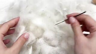 La vengeance du chat