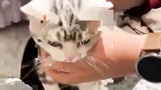 Fun   masti    FunVideo  funnyreels 8