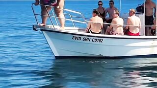 funny video 685