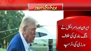 Donald Trump 7