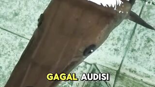 Mirip Buaya Tapi bukan Buaya