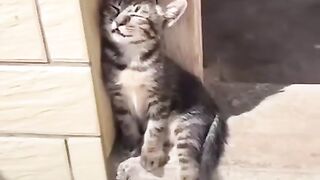 sleep mode