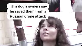 Heroic Dog Saves Family During Kyiv Drone Attack