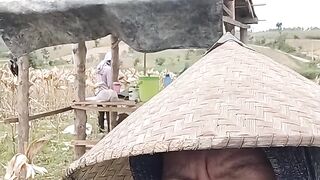 gubuk neng sawah