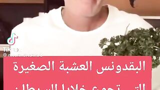 البقدونس العشبة التي تجوع خلايا السرطان