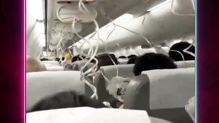 Boeing 737 Japan Airlines Mendarat Darurat usai Terjun 7 Ribu Meter 2