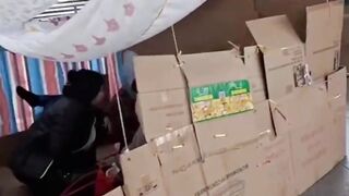 [VIDEO] Tak di Sediakan Shelter Khusus! PMI di Hongkong Gelar Tenda dari Kardus di Trotoar saat Libur