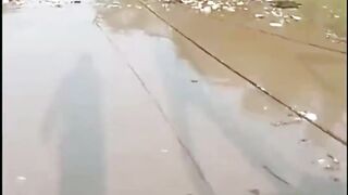 [VIDEO] Kali CBL Cibitung Dipenuhi Sampah saat Debit Naik, Diduga dari Pembuangan Ilegal di Sukajaya Bekasi