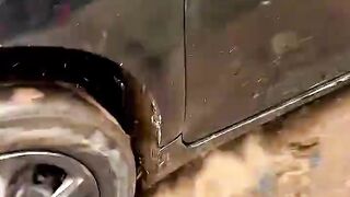 Funny Video 458