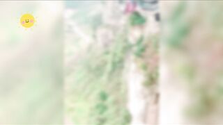 Please like Follow Subscribe and share 2