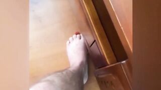 Whats the FUNNIEST Cat Video Compilation Ever Made