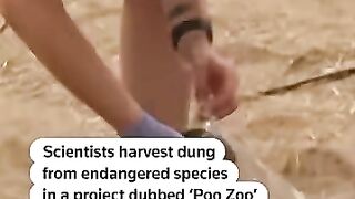 Revolutionary Conservation: Saving Endangered Species Through Dung Cell Harvesting