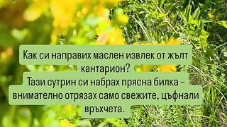 ЖЪЛТ КАНТАРИОН