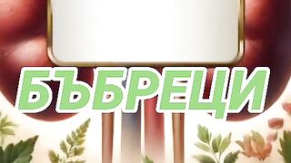 БИЛКИ ЗА БЪБРЕЦИ