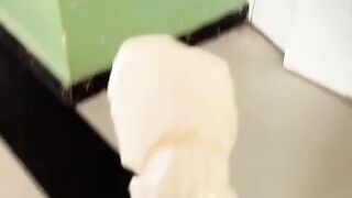 Fun   masti    FunVideo 6