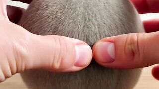 Fun   masti    FunVideo 8