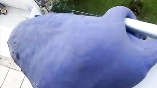 Fun   masti    FunVideo 17