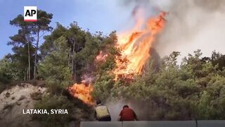 Syrian Civil Defense battles wildfires in