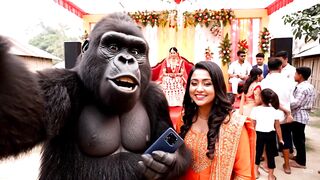 Funny videos 676