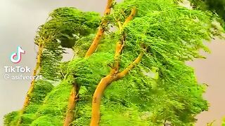 bahut Khubsurat Mausam Hai