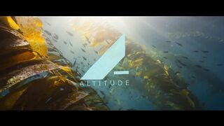 Ocean with David Attenborough His Greatest Message of Hope for Our Planet  (Official Documentary)