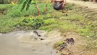 Funny shows video
