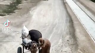 Very nicee video 18