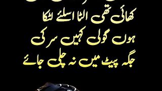 Pathan 12