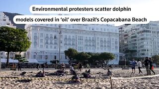 Dolphin models displayed on Copacabana beach in Amazon oil protest -