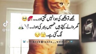 Funny video