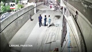 Pet lion escapes and injures woman and her two children in