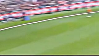 What a catches