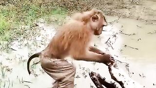 FunVideo  funnyreels 8