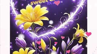 Good Night Status video